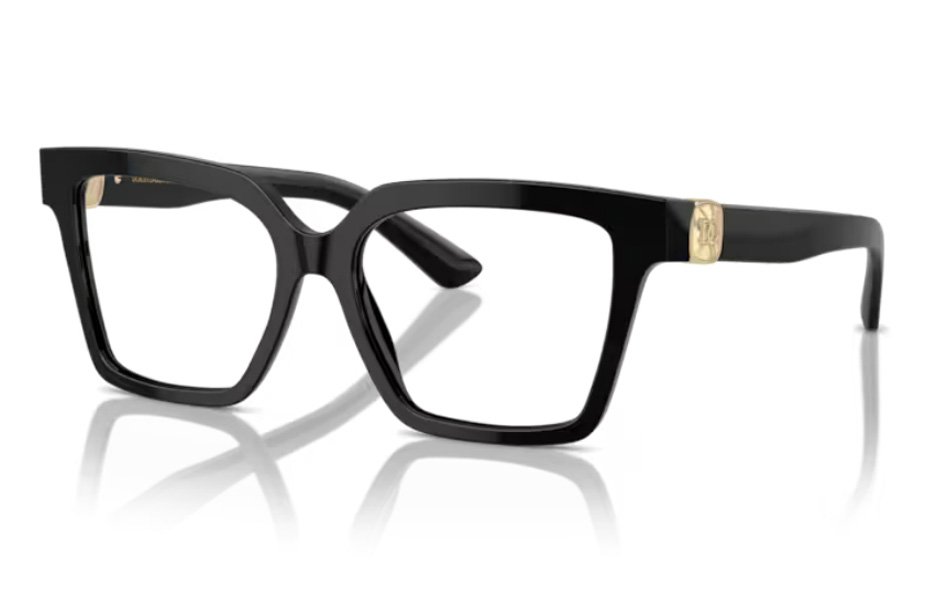 Dolce & Gabbana DG 3395 501