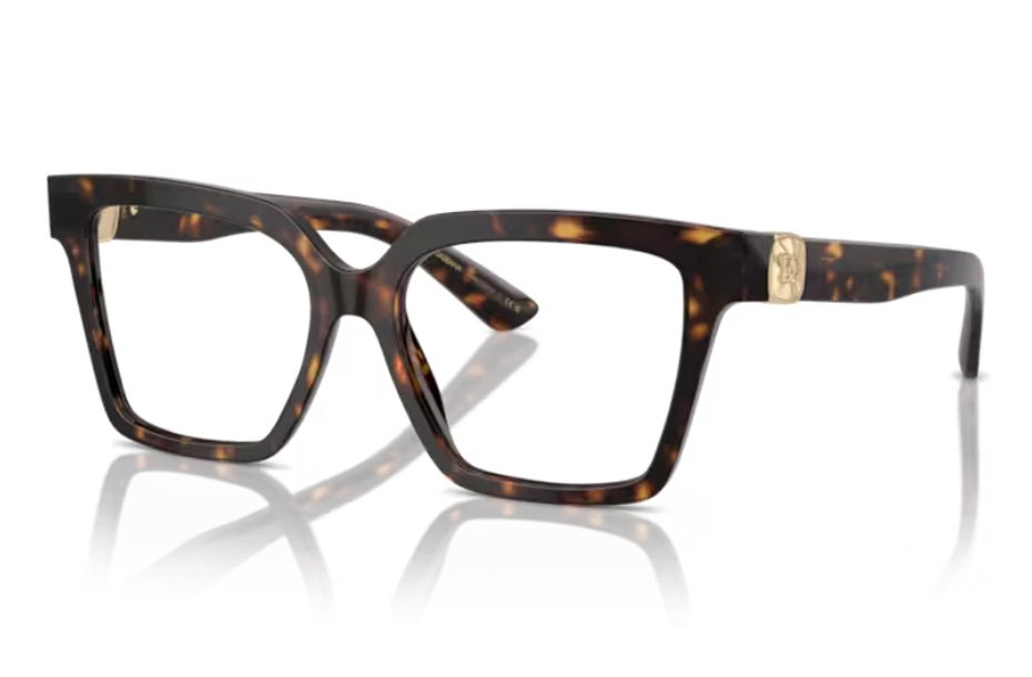 Dolce & Gabbana DG 3395 502
