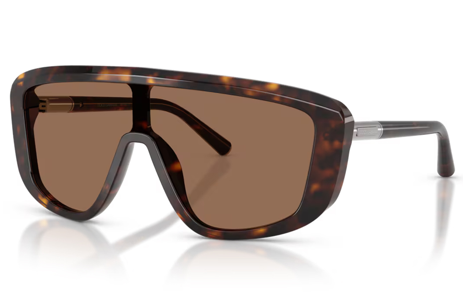 Dolce & Gabbana DG 4520 502/73