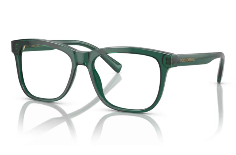 Dolce & Gabbana Kids DX 3356 3008