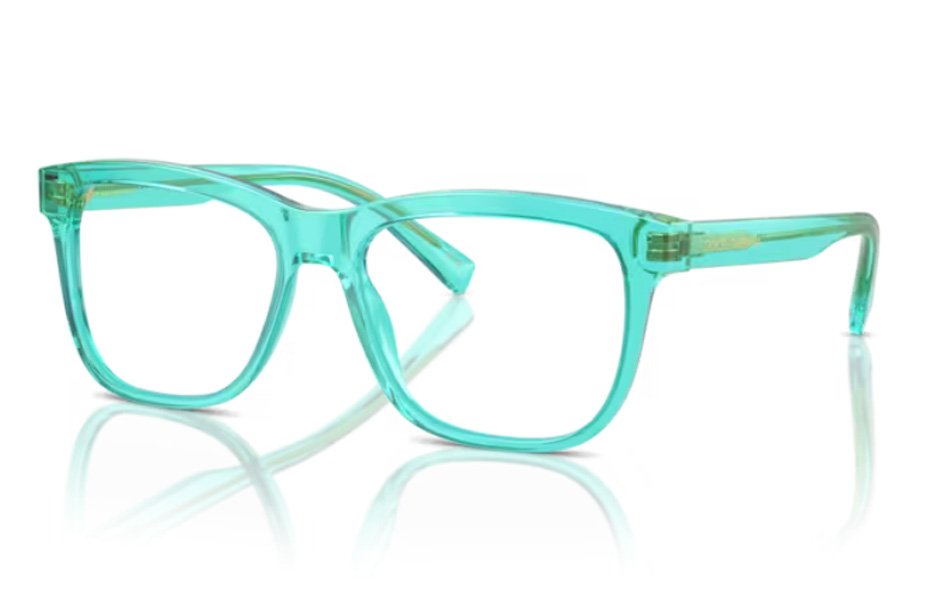 Dolce & Gabbana Kids DX 3356 3322
