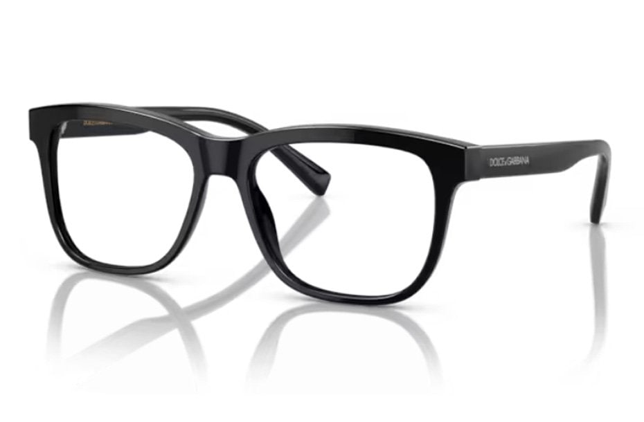 Dolce & Gabbana Kids DX 3356 501