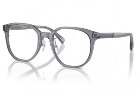 Emporio Armani EA 3241D 5029