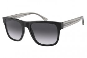 Emporio Armani EA 4163 58758G