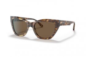 Emporio Armani EA 4176 502573