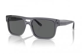 Emporio Armani EA 4197 502987