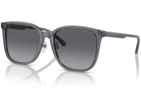 Emporio Armani EA 4206D 5029T3