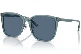 Emporio Armani EA 4206D 593480