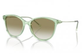 Emporio Armani EA 4220 61078E