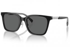Emporio Armani EA 4226D 501787