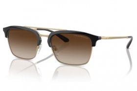 Emporio Armani EA 4228 300213