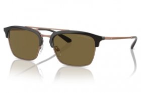 Emporio Armani EA 4228 320173