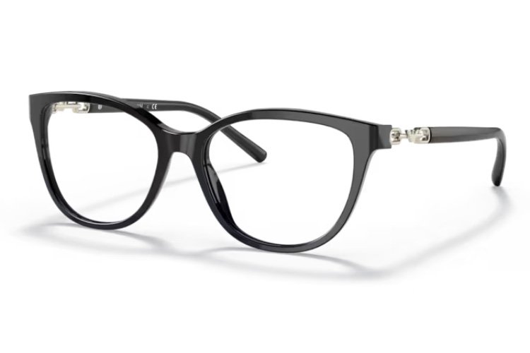 Emporio Armani EA 3190 5001