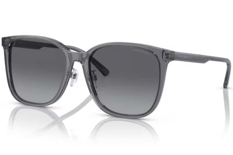 Emporio Armani EA 4206D 5029T3