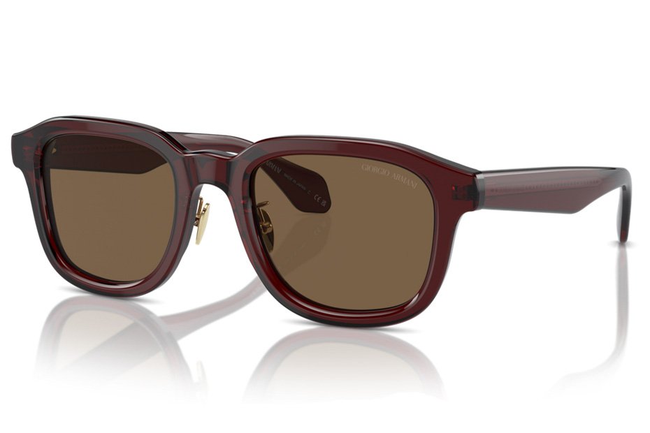 Giorgio Armani AR 8206 606273