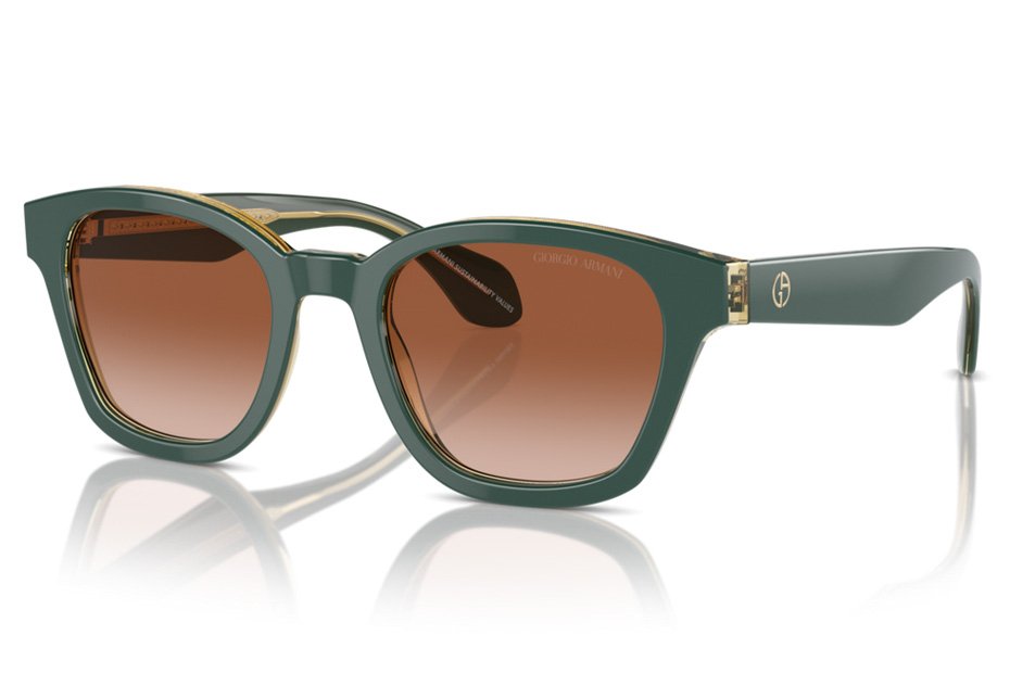 Giorgio Armani AR 8207 608613