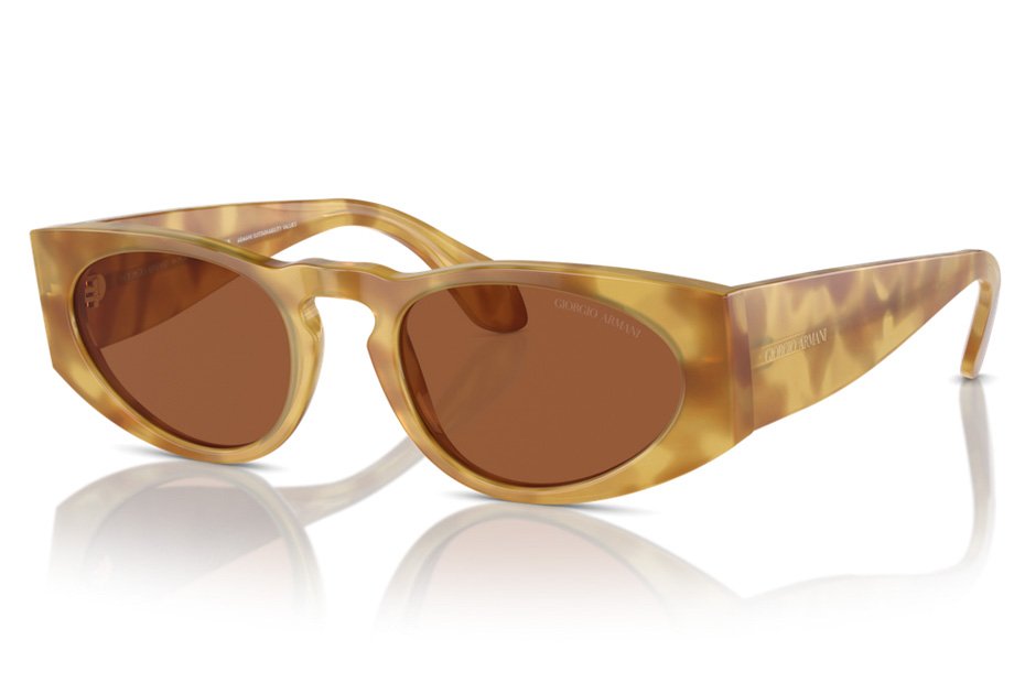 Giorgio Armani AR 8216 597973