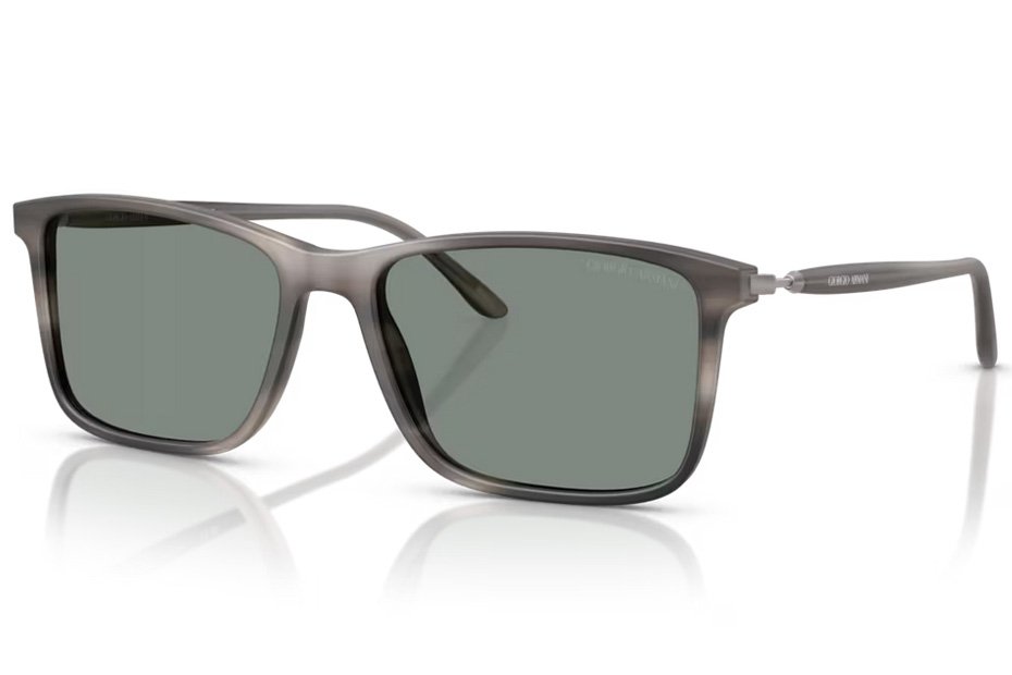 Giorgio Armani AR 8218 616611