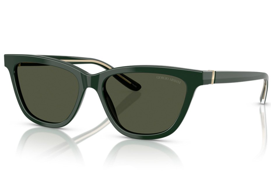 Giorgio Armani AR 8221 617331
