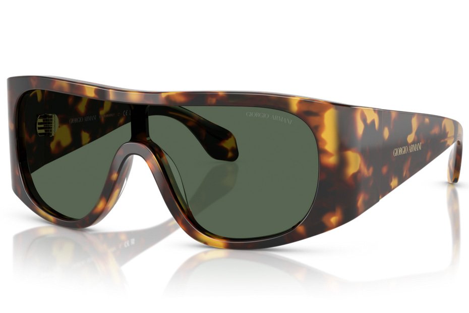 Giorgio Armani AR 8222U 509271