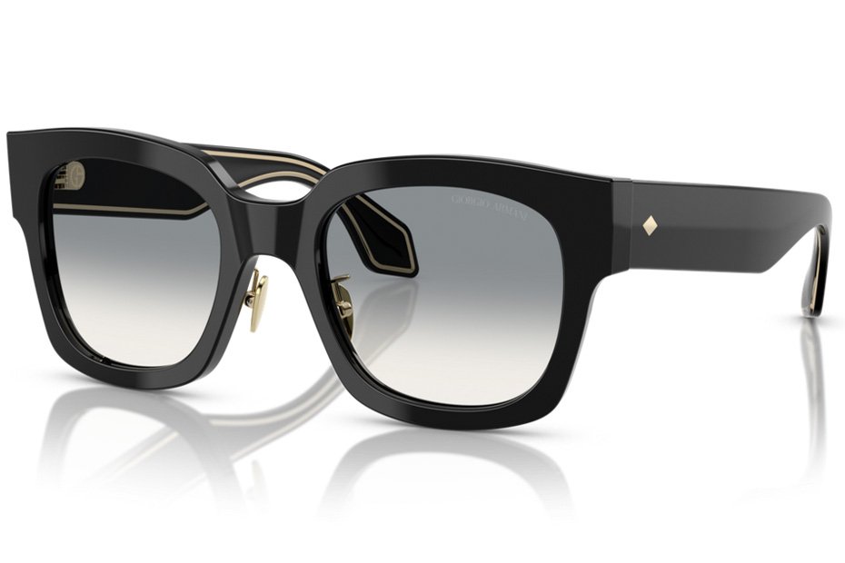 Giorgio Armani AR 8223 500111