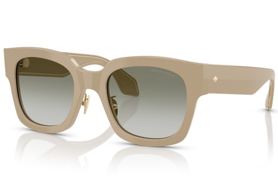 Giorgio Armani AR 8223 61618E