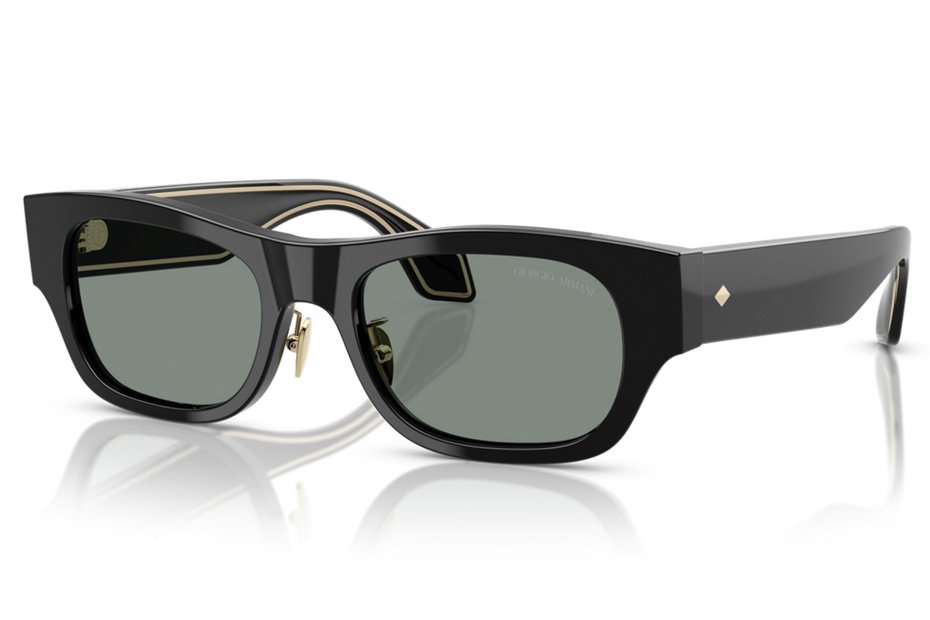 Giorgio Armani AR 8224 500111