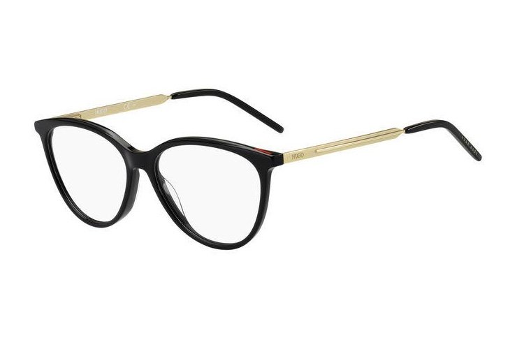Hugo Boss HG 1107 807