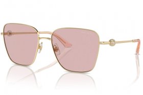 Jimmy Choo JC 4005HB 3006/5