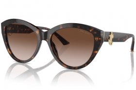 Jimmy Choo JC 5007 500213