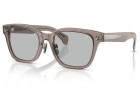 Moncler Metrope ME 6002D 300987