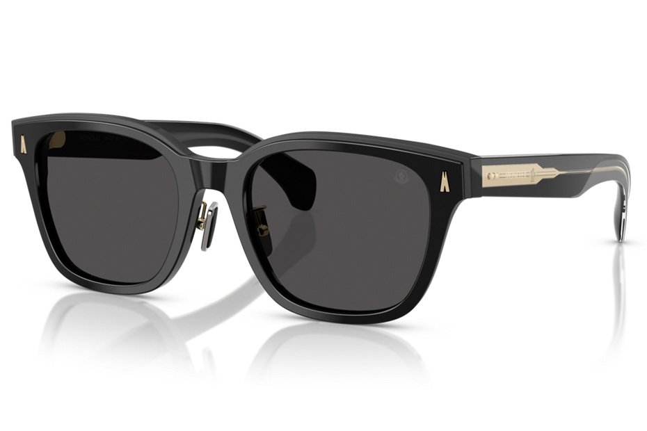 Moncler Metrope ME 6002D 300187