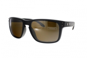 Oakley Holbrook OO 9102 D7 Prizm