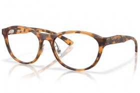 Oakley Draw Up OX 8057 805708