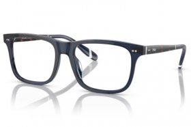 Polo Ralph Lauren PH 2270U 5470