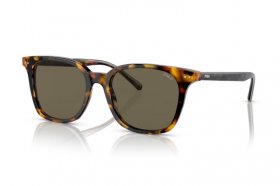 Polo Ralph Lauren PH 4187 5309/3
