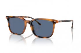 Polo Ralph Lauren PH 4194U 608980