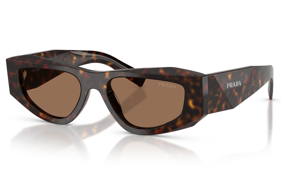 Prada PR B19S 17N06B