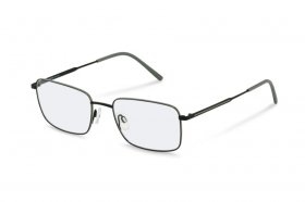 Rodenstock R 2642 D