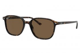 Ray-Ban Sonnenbrille Leonard RB 2193 902/57