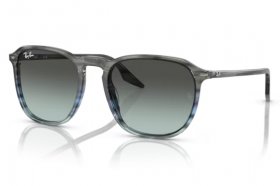Ray-Ban RB 2203 1391GK