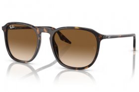 Ray-Ban RB 2203 902/51