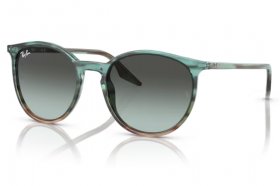 Ray-Ban RB 2204 1394GK