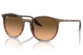Ray-Ban RB 2204 13953B