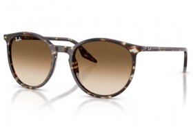Ray-Ban RB 2204 143151