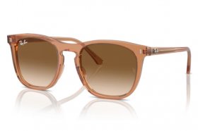 Ray-Ban RB 2210 676451