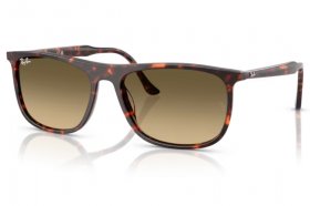 Ray-Ban RB 2216 14290A