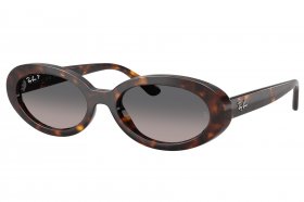 Ray-Ban RB 2223 902/M3