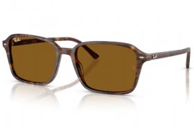 Ray-Ban Raimond RB 2231 141833