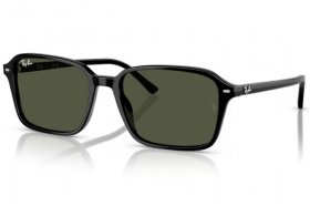 Ray-Ban Raimond RB 2231 901/31